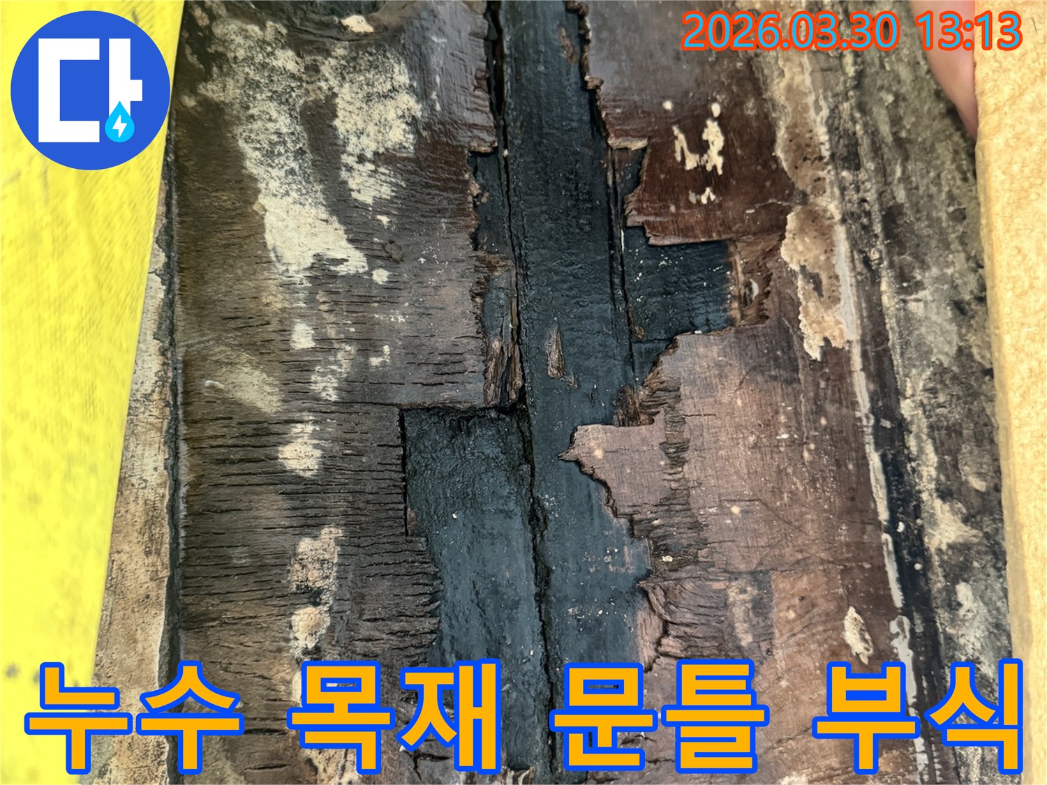 누수로 인해-목재 문틀이 물에 젖어-검게 변색되고-부식된 심각한 손상 상태