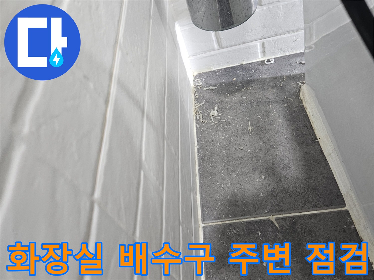 양천구 화장실-배수구 유가 주변 타일 틈새 상태 확인