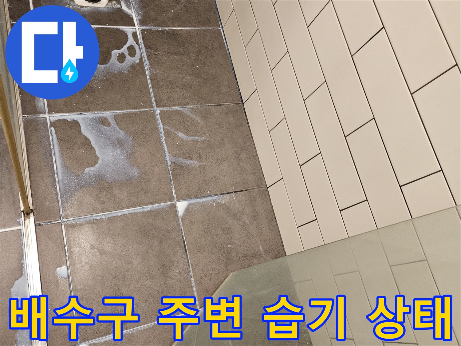 배수구 근처-타일 틈새에 스며든 물기와 습기 현상