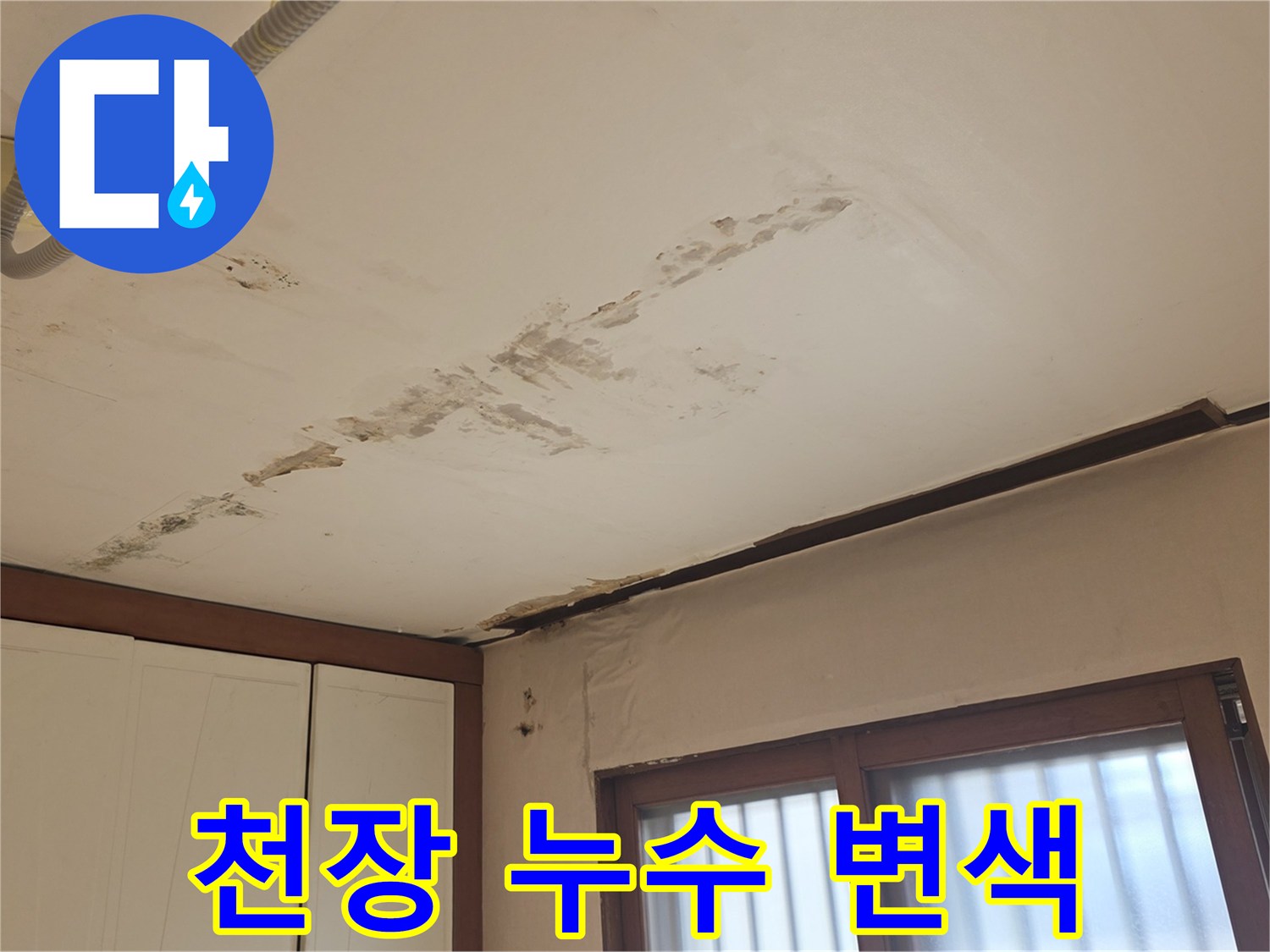 천장 면적 전체에 퍼진 습기와 물자국 현황