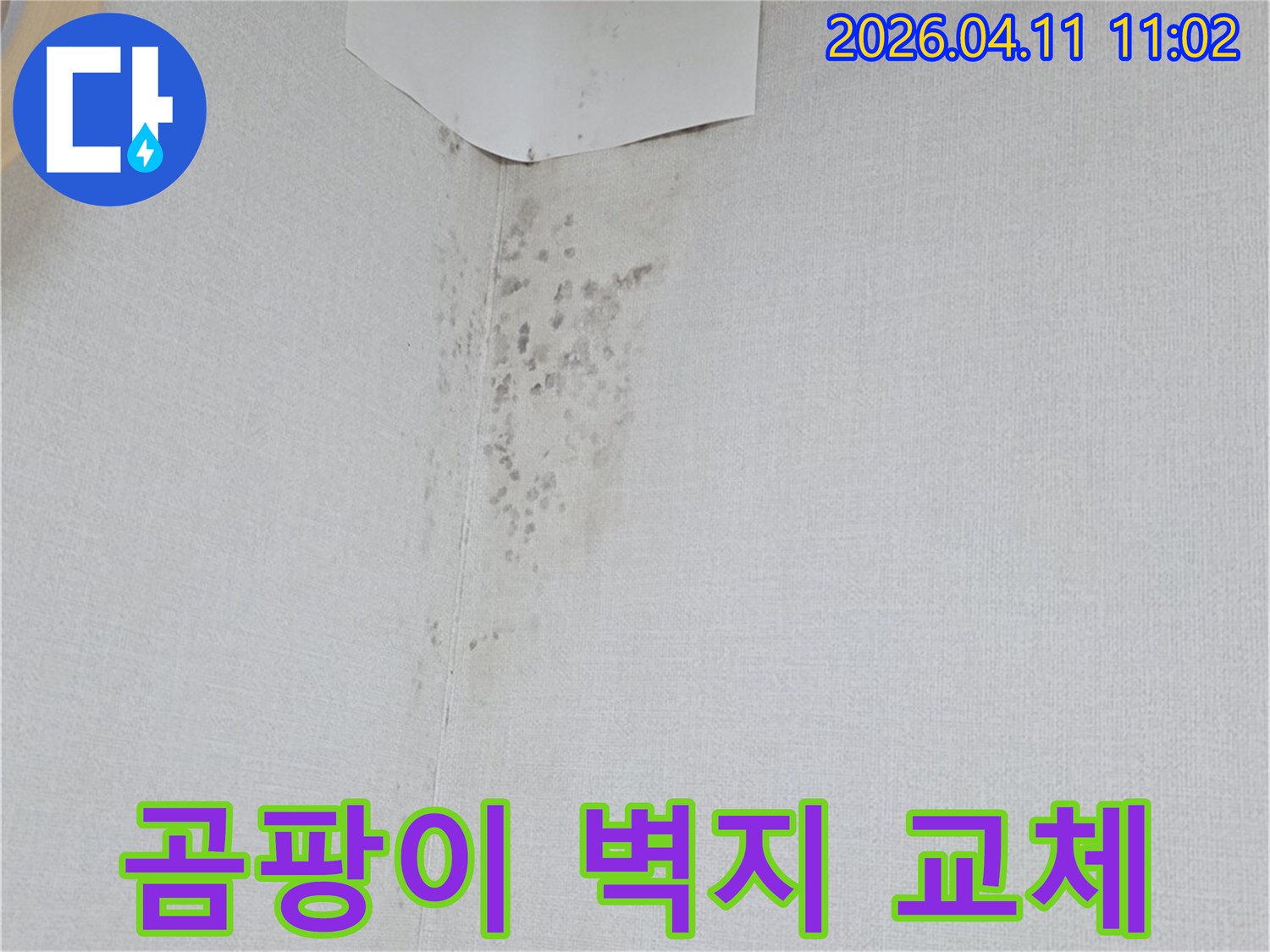 곰팡이로 오염된 벽지 부분-누수 공사 전후 비교를 위한 현장 사진입니다
