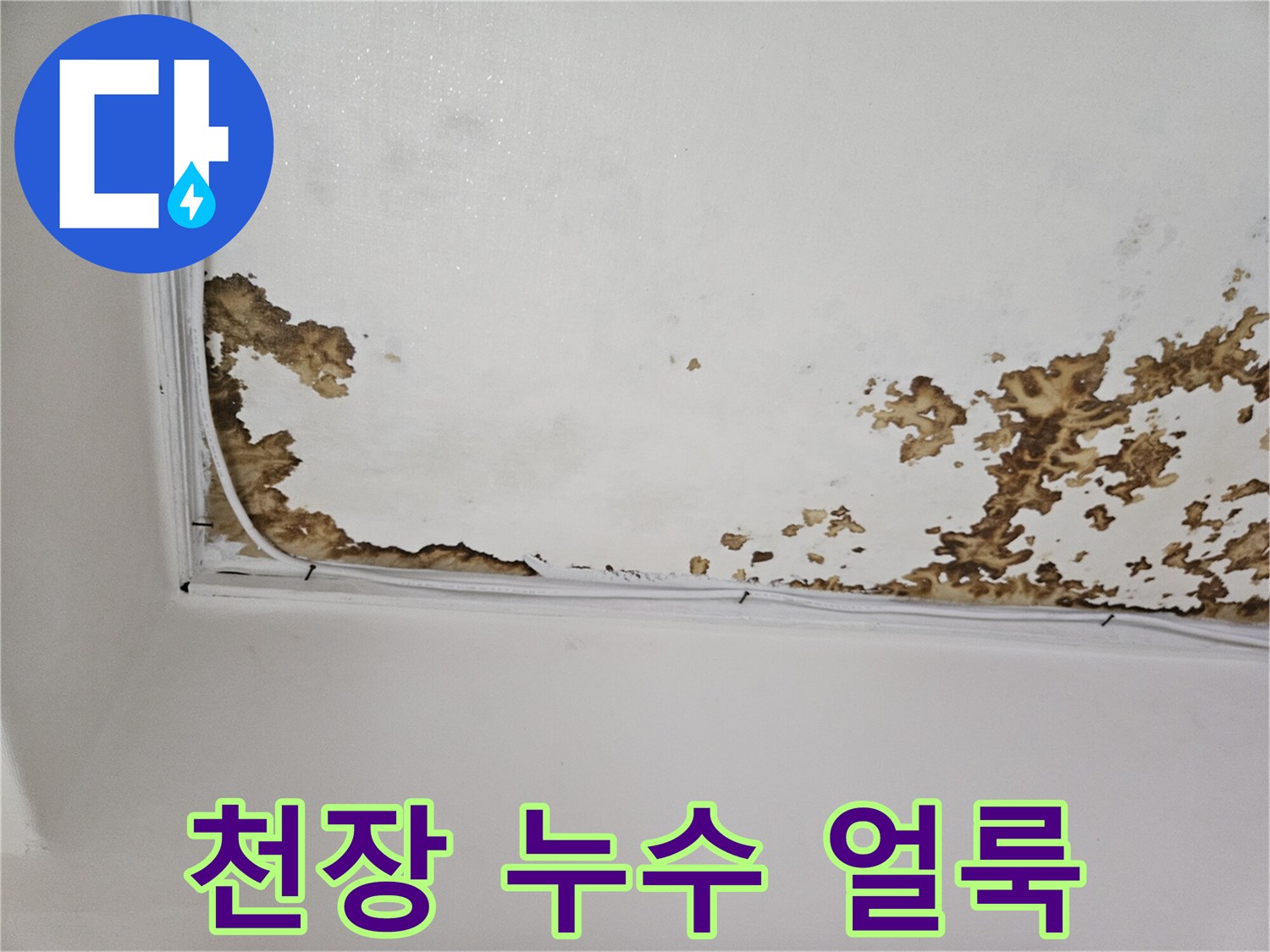 강동구 아파트 천장 벽지가 물에 젖어 변색된 모습