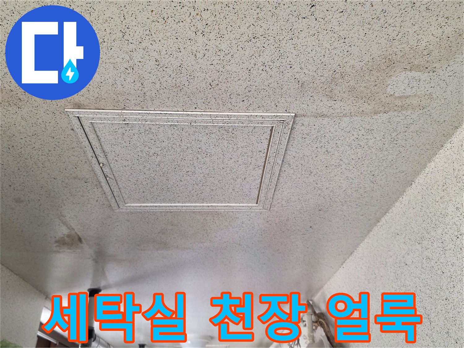 성남 중원구 세탁실 천장의 넓은 물샘 흔적과 변색 부위
