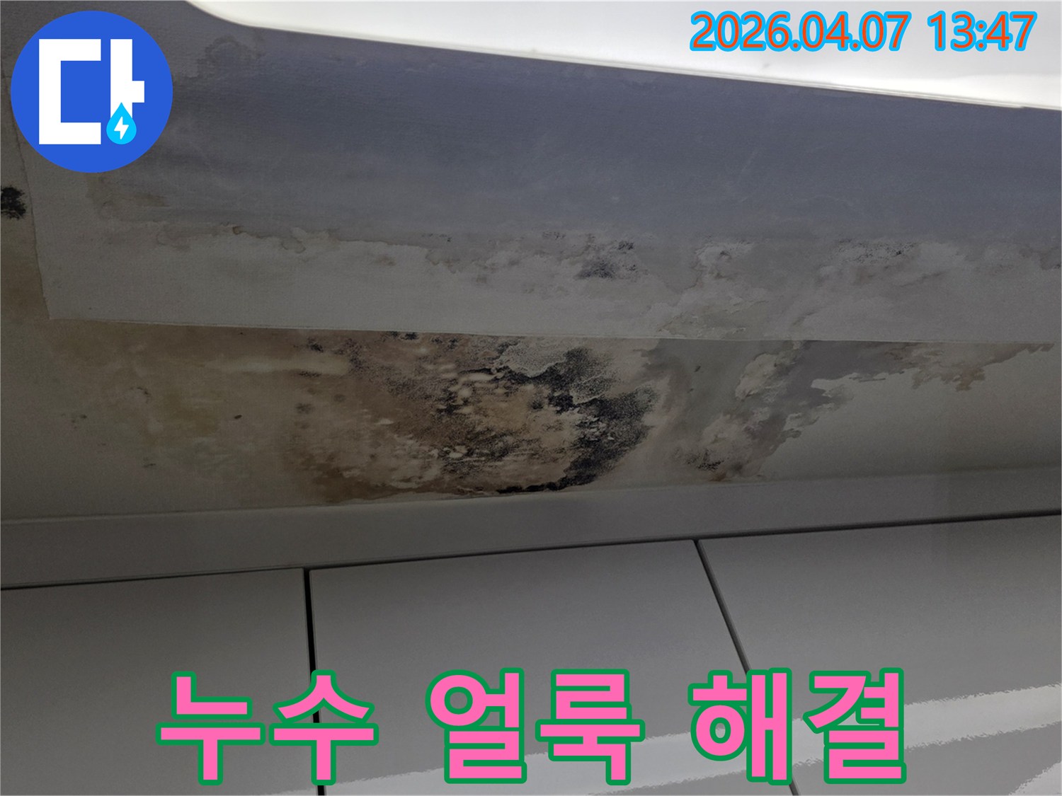 아파트-천장에-생긴-누수-얼룩과-광범위하게-번진-곰팡이-피해-상태-근본적인-해결-필요