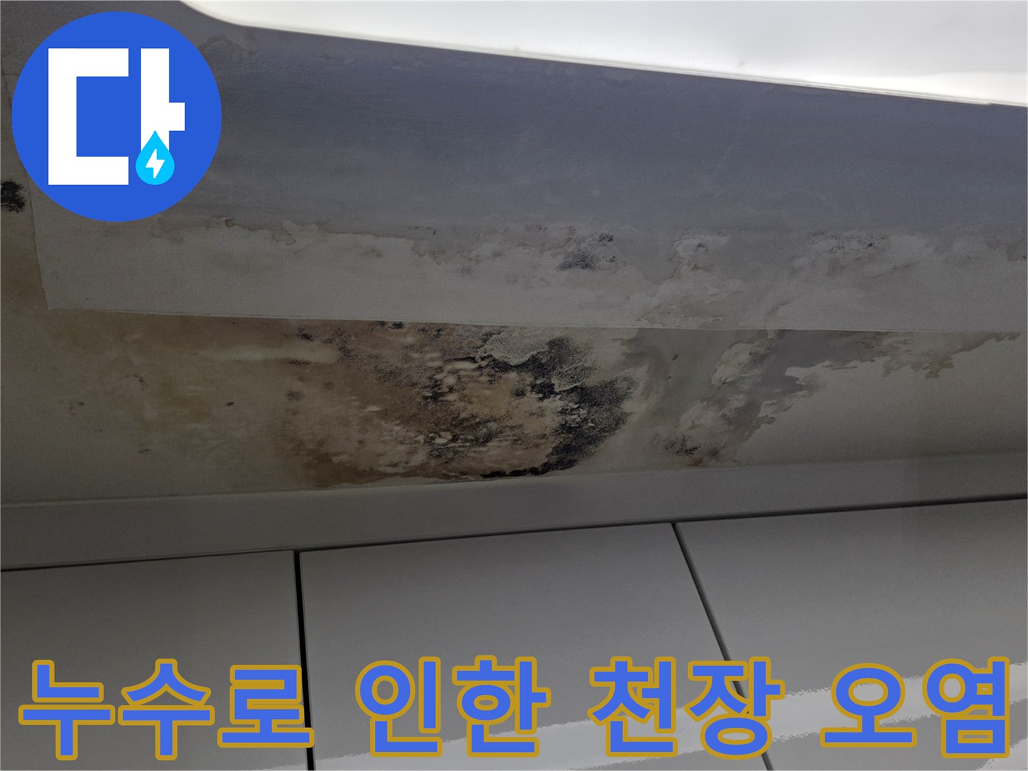 천장 마감재의 누수 흔적-심한 변색과 곰팡이가 나타난 상태