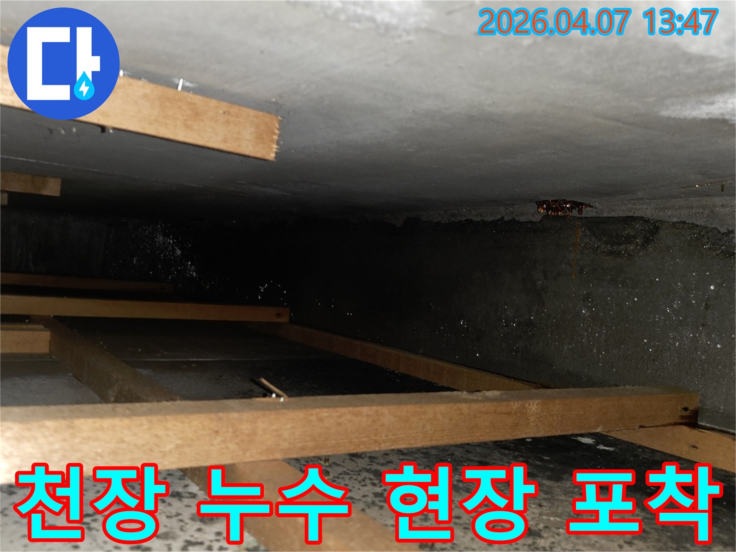 천장 콘크리트 슬라브에서 물방울이 맺혀-나무 지지대 위로 떨어지는-누수 현장의 생생한 모습