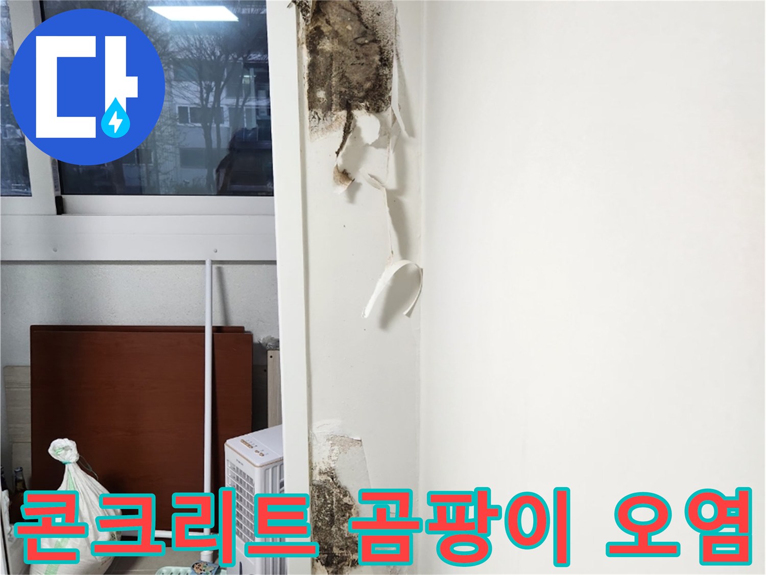 벽면 하단-심각한 곰팡이와 벽지 탈락 현상