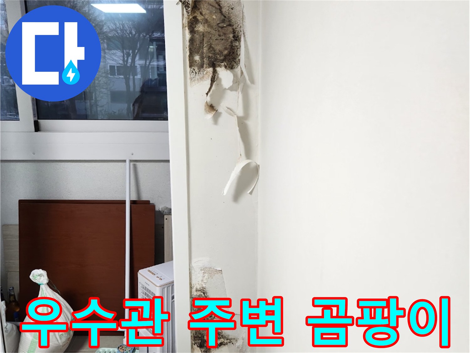 창가 우수관 주변 벽지가 들뜨고 검은 곰팡이가 발생한 상태입니다.