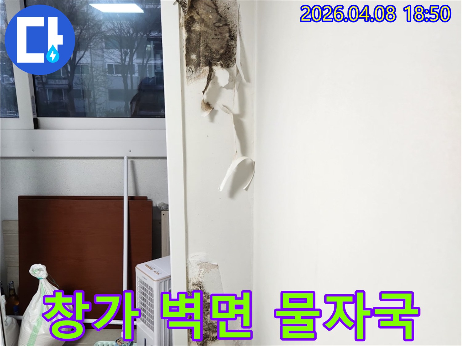 창문-아래-벽면에서-발견된-벽지-손상과-함께-심각하게-번식한-곰팡이의-모습을-담은-누수-현장-사진입니다