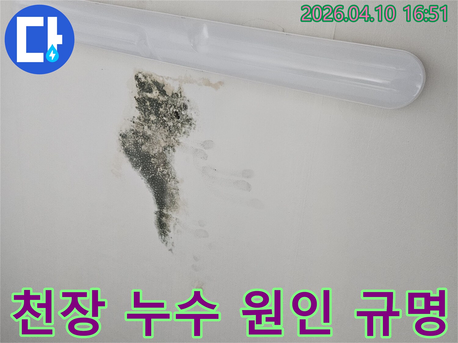 천장 형광등 주변에 나타난 누수와 곰팡이 흔적을 보여주는 사진-정밀한 진단이 필요한 상황입니다