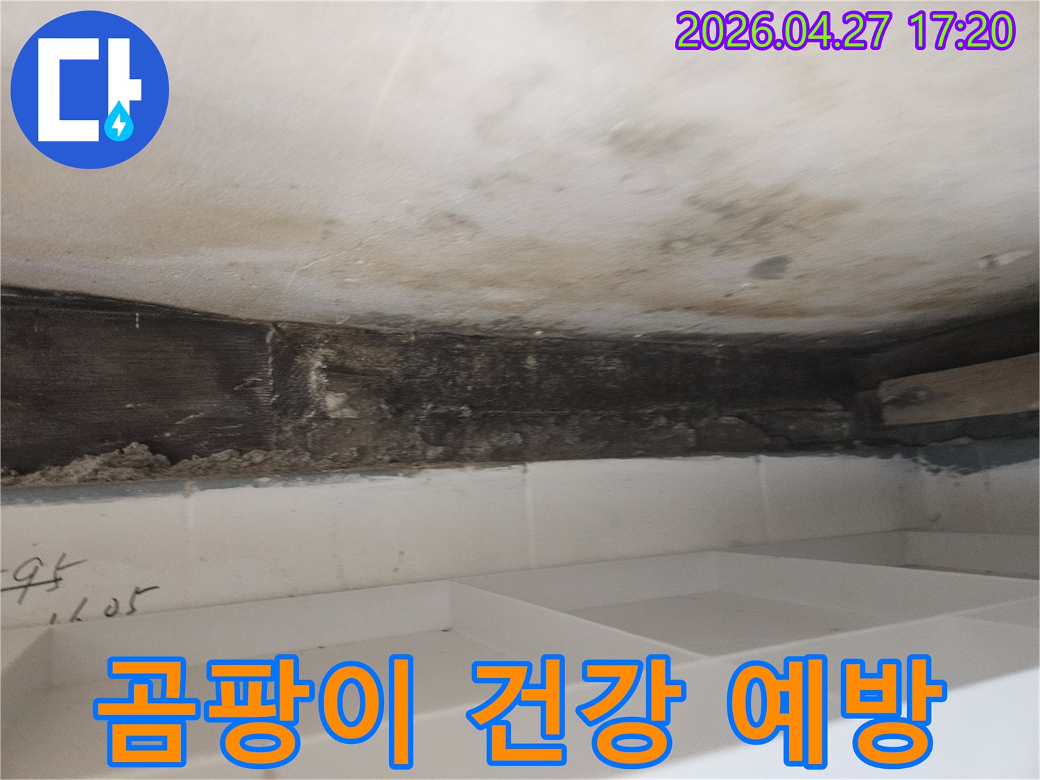 누수로 인해-욕실 천장-벽면에-발생한-곰팡이로-인한-건강 문제를-예방하기-위한-누수-보수-현장