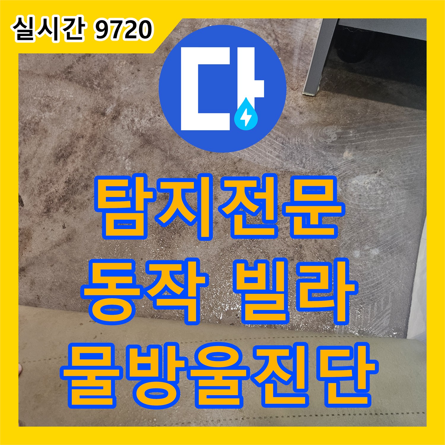 누수탐지전문가, 동작구 빌라 천장 마감재 못 주변 물방울로 인한 누수를 진단하는 서울