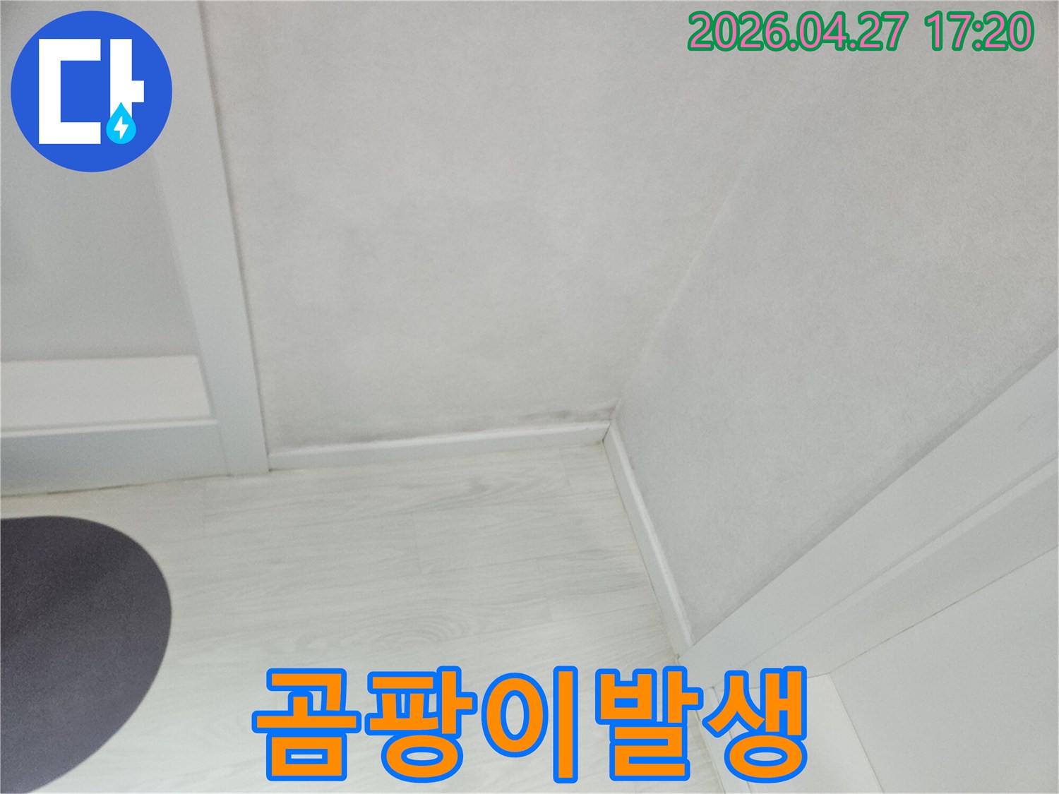 벽면과-천장-경계에-누수로-인한-곰팡이가-번지고-있는-모습입니다.