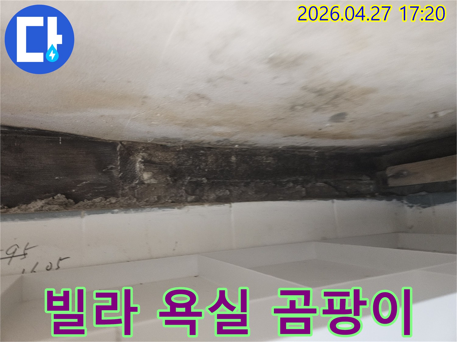 서울 동작구 빌라-201호 욕실 천장에-누수로 인해-발생한-심각한-곰팡이와-오염된-벽면