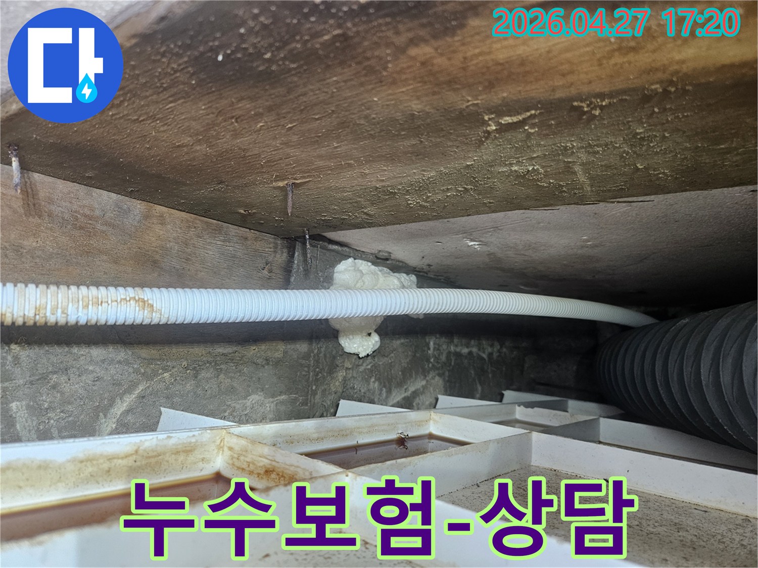 욕실-천장-누수-현장에서-누수보험-처리를-위한-전문-상담을-제공하는-모습