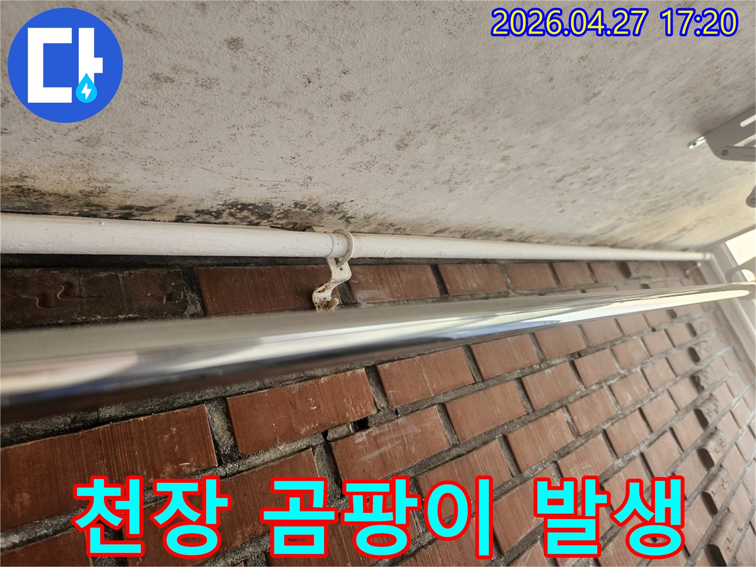 천장 콘크리트 표면에-광범위하게 퍼진 곰팡이와-녹슨 배관 지지대가 함께 보입니다