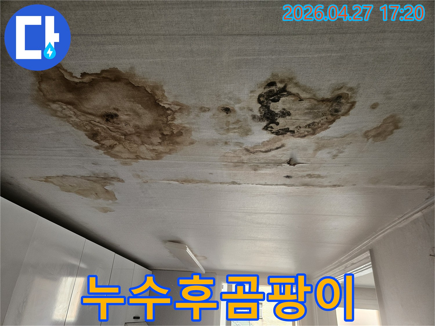 천장 표면에-검게 번진 곰팡이와-누수로 인한 습기 흔적-누수 해결 후-곰팡이 관리가 필요한 현장
