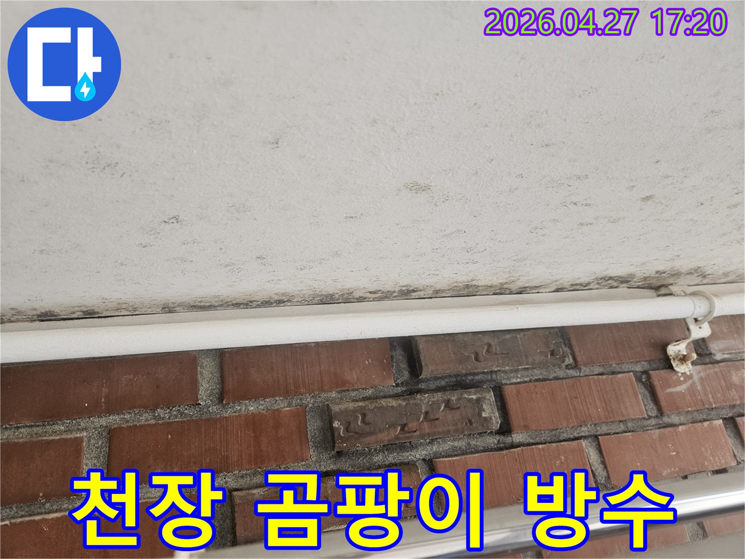 천장과 벽의 경계에 발생한 검은 곰팡이와-누수 흔적을 보여주는 현장 사진입니다.