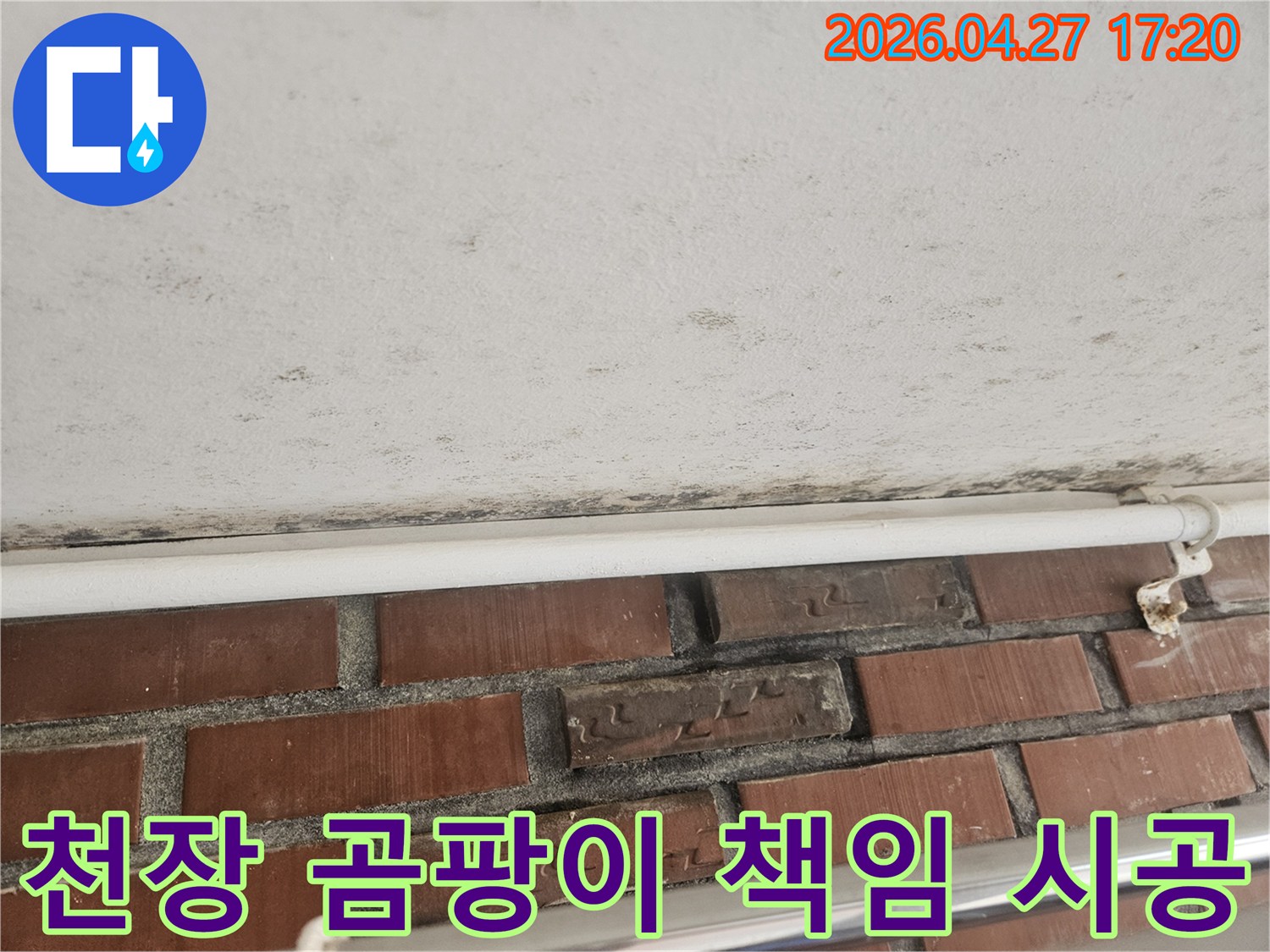 천장과 벽의 경계에 생긴 검은 곰팡이와-누수 흔적이 보이는 현장 사진입니다.