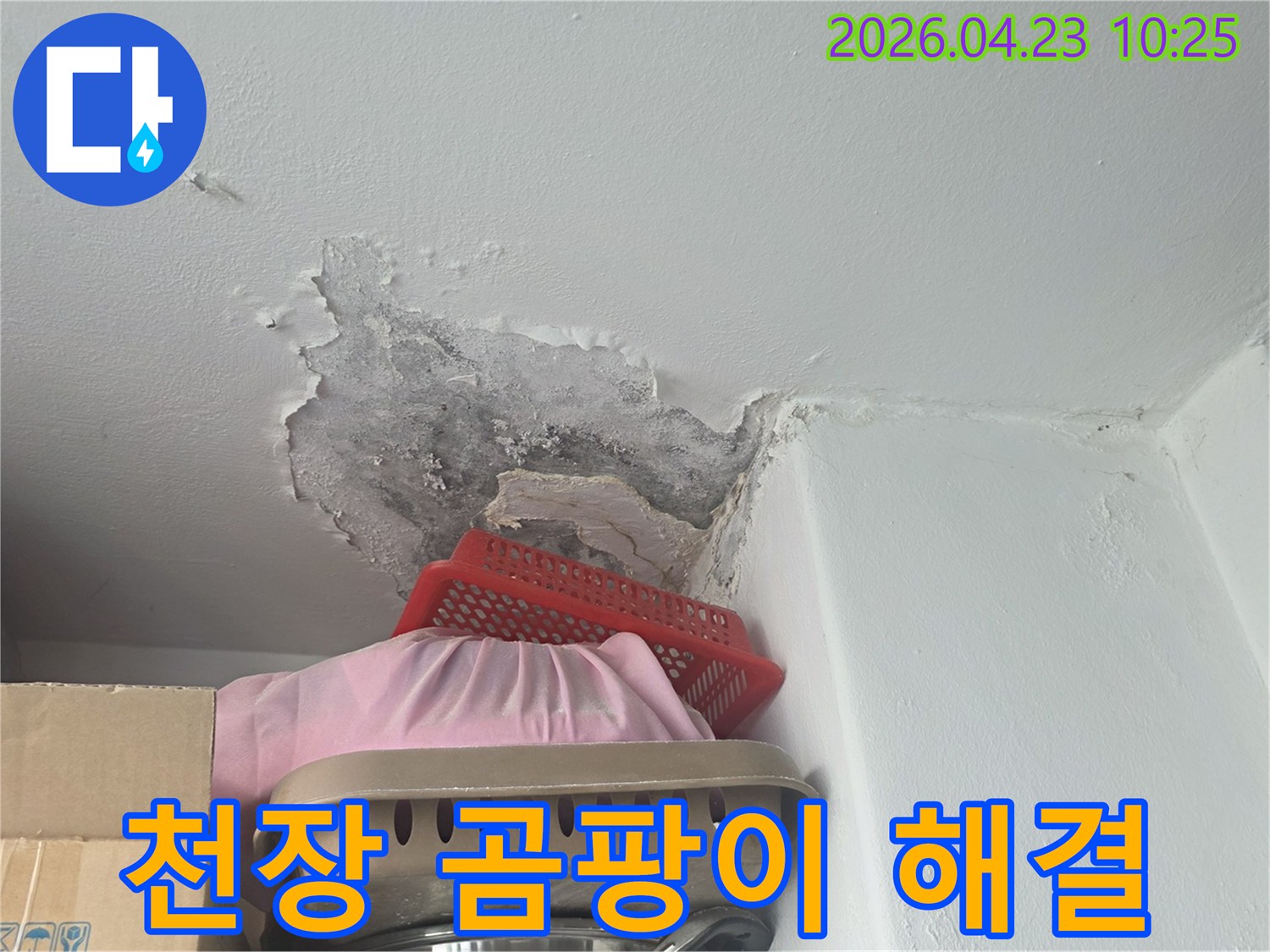 천장 모서리에 생긴-심한 곰팡이와-물에 젖은 벽지 상태