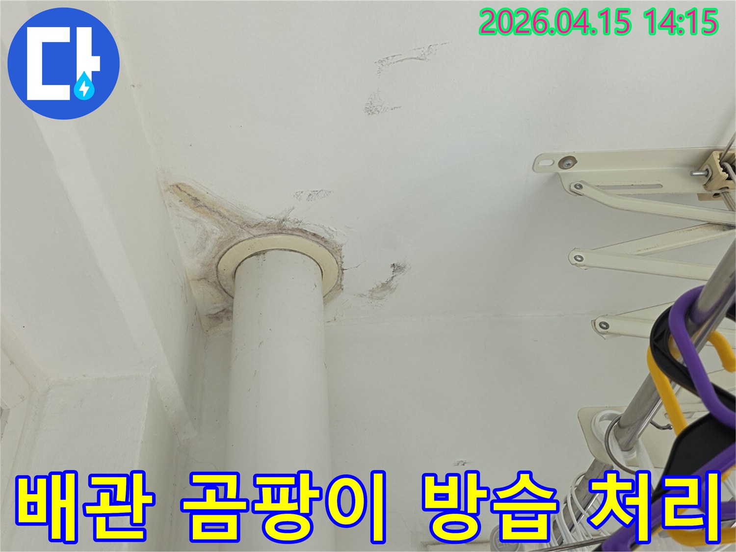 아파트 천장 배관 주변에-광범위하게 퍼진 곰팡이와-물 얼룩을 보여주며-누수 문제의 심각성을 나타내는 사진