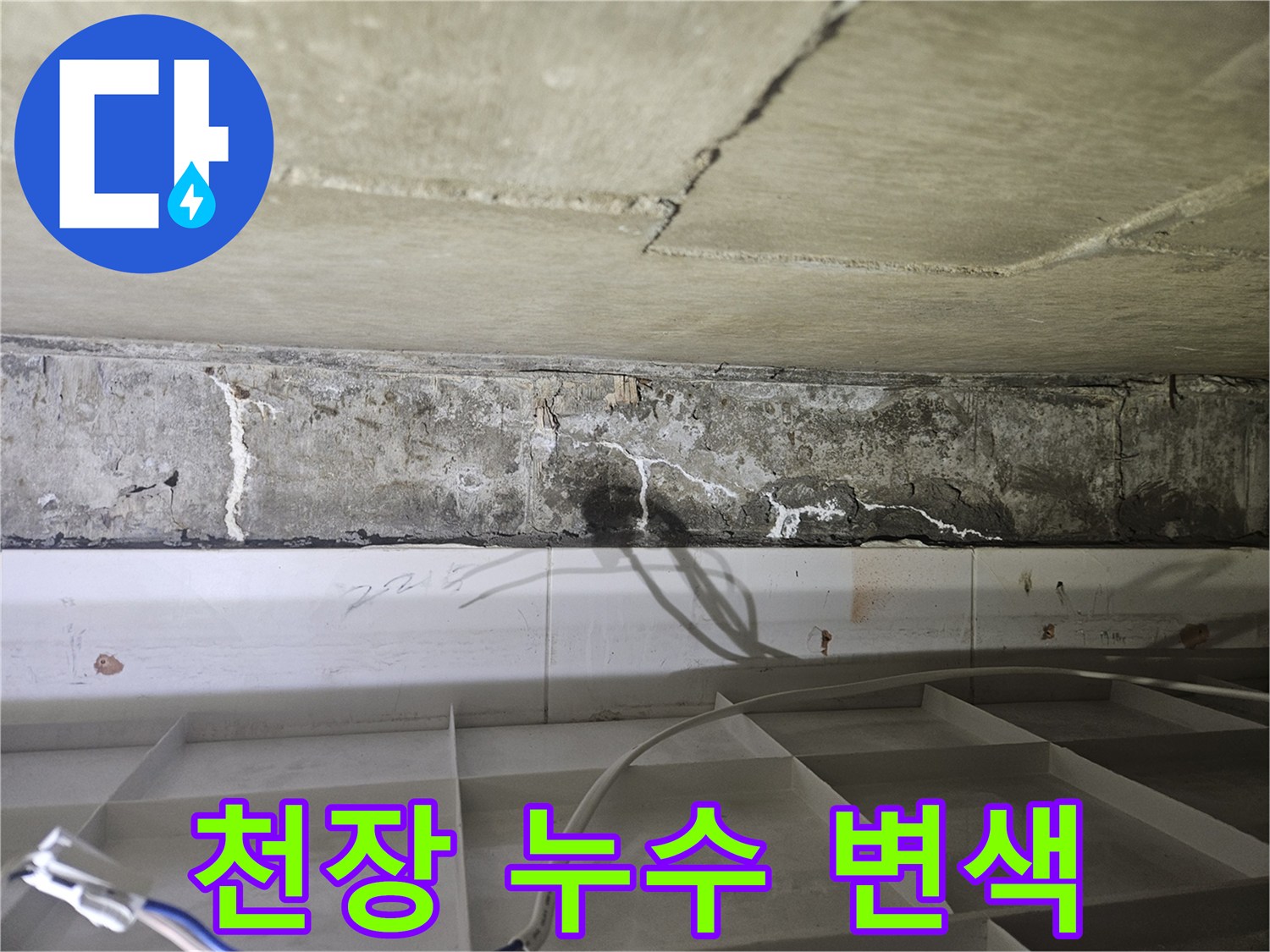 물이 스며 나와 하얗게 변한 천장 콘크리트 부위