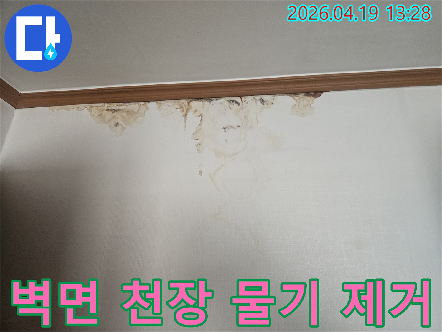 벽면과 천장 경계에 누수로 인한 물기가 스며들어-얼룩진 모습을 보여주는 사진입니다.