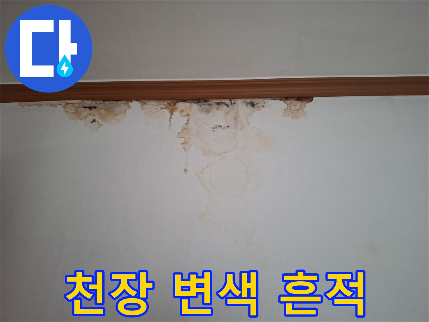 천장-몰딩-경계의-물자국과-곰팡이-발생