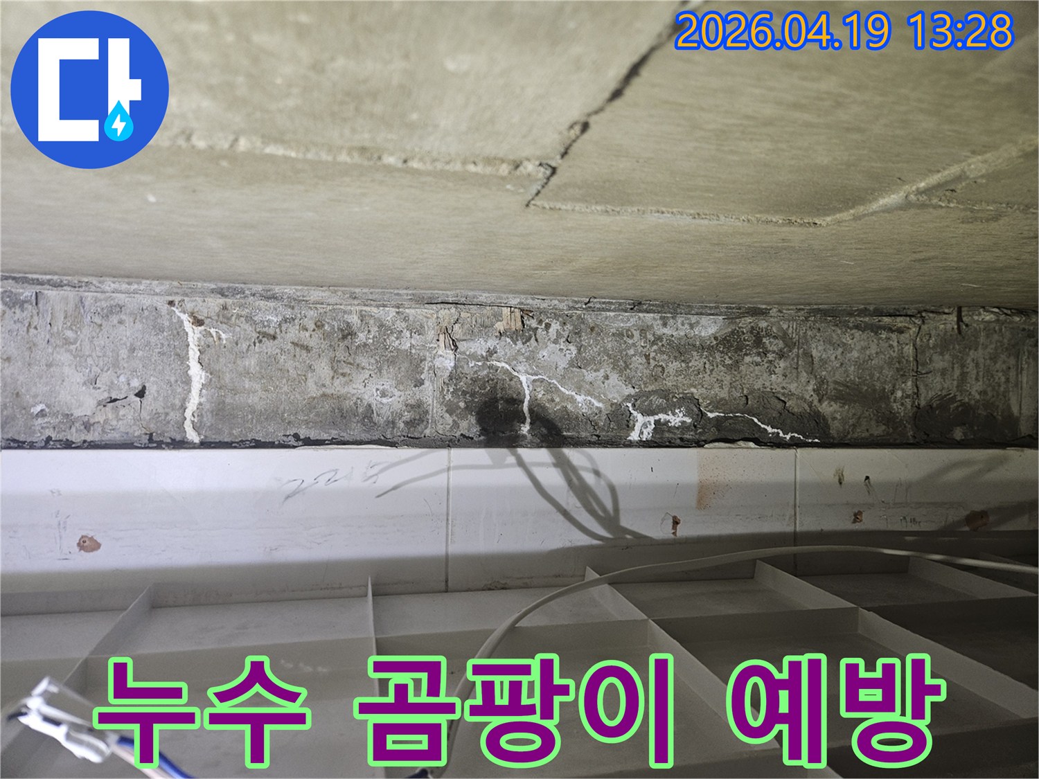 콘크리트 천장의 누수 흔적과-어두운 변색-곰팡이 발생 위험을 보여주는 이미지