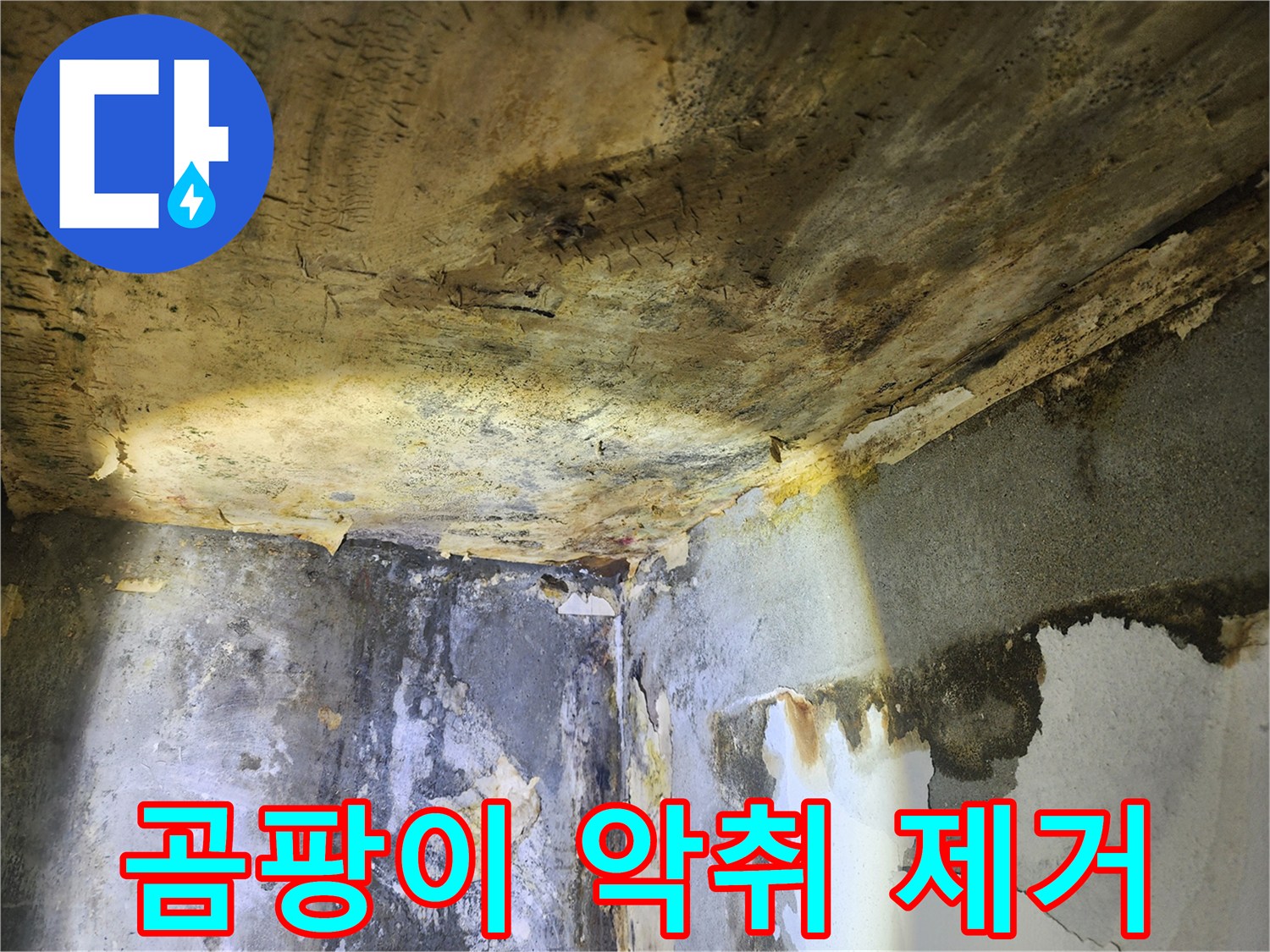 누수로 인해-천장과 벽에 발생한-심각한 곰팡이와-악취가 나는 현장 모습