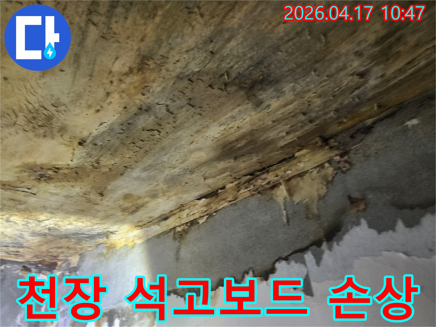 누수로-인해-천장의-석고보드가-물에-젖어-변형되고-손상된-모습
