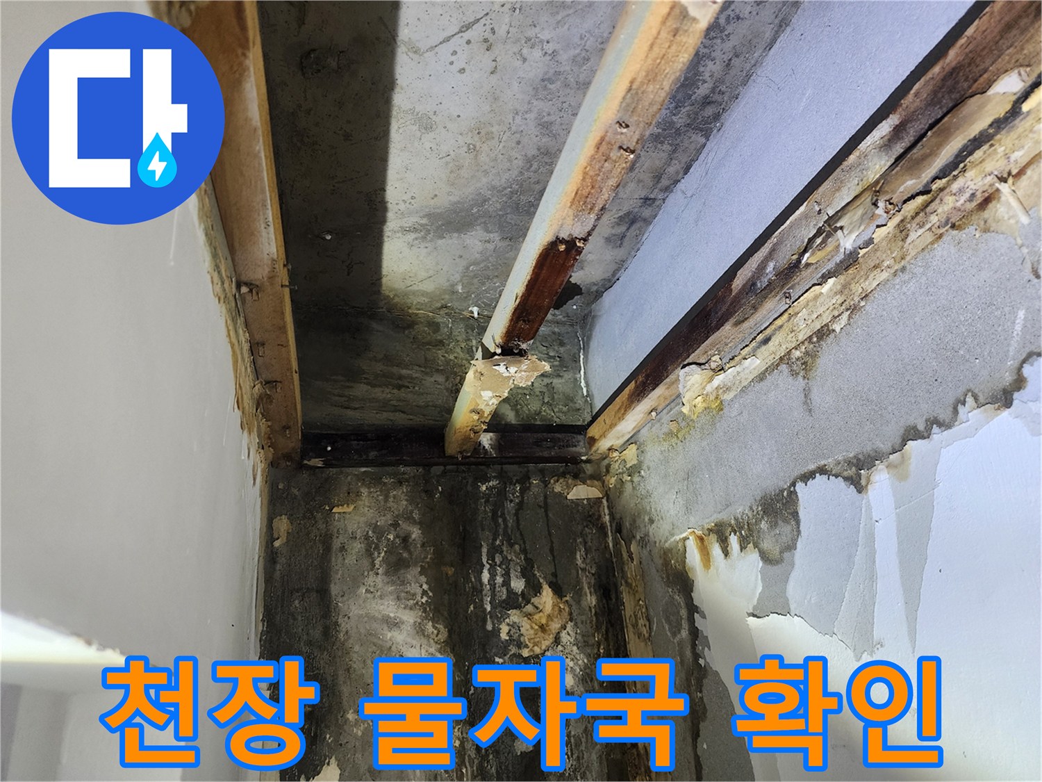 빌라-천장-누수-피해를-확인하기-위해-석고보드를-제거한-후-내부-물자국-상태