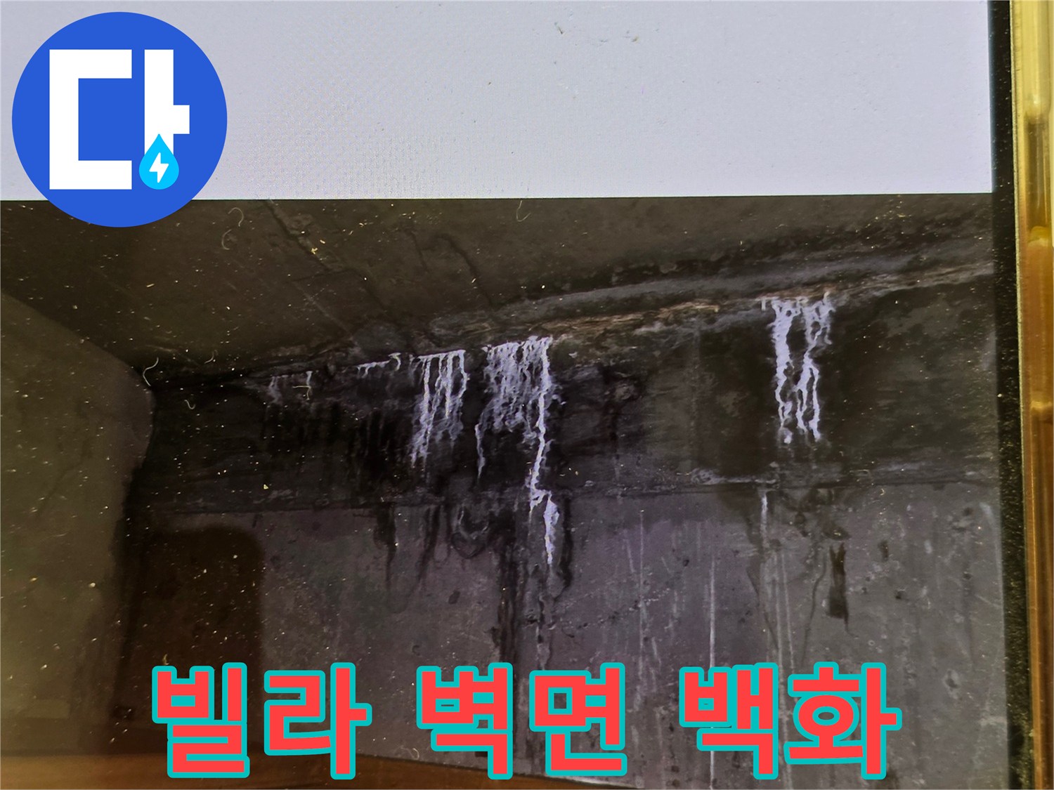 이 이미지는-빌라 벽면에서-발생한-심각한 백화 현상으로-누수의 심각성을-명확히 보여줍니다