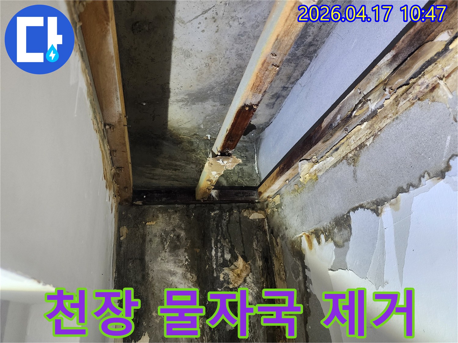 이 이미지는-서울 서초구 잠원동 아파트에서-천장 누수로 인해 발생한-심각한 물자국과-목재 부식 현장을 보여줍니다