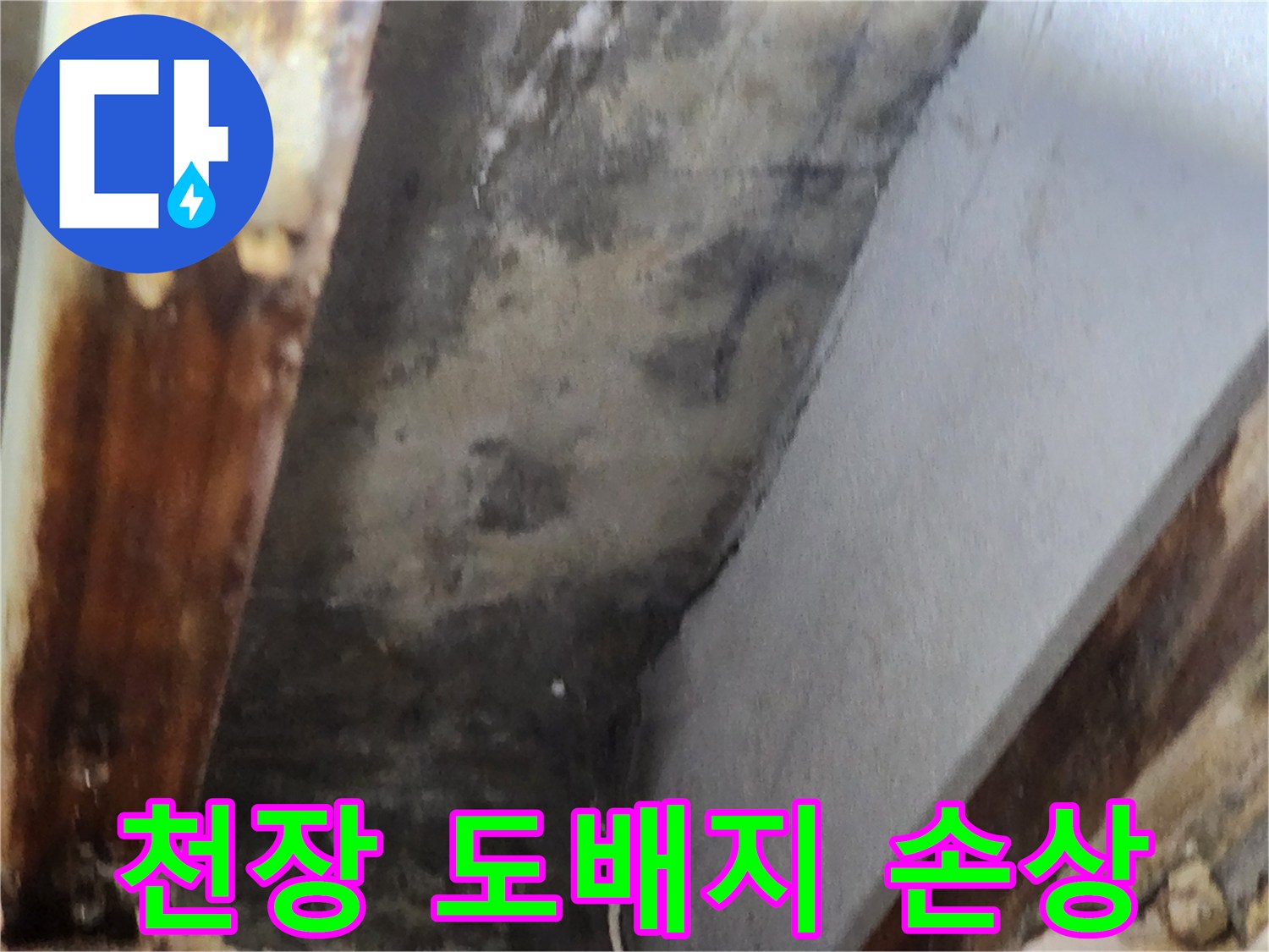 천장 도배지에 누수로 인한 물자국과-곰팡이로 인한 손상 현장을 보여주는 이미지입니다