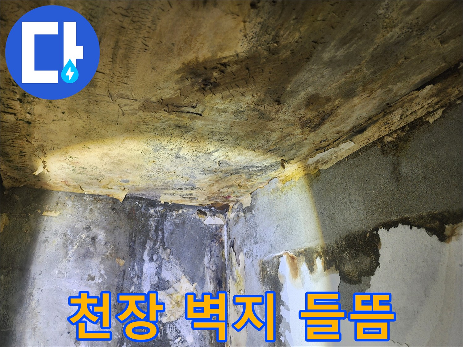 천장과 벽면의-누수로 인한 벽지 들뜸과-심각한 물샘 흔적을-보여주는 현장 사진