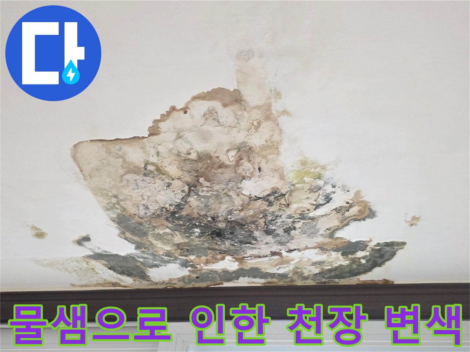 누수 발생 부위의 심한 변색과 곰팡이 침투 흔적