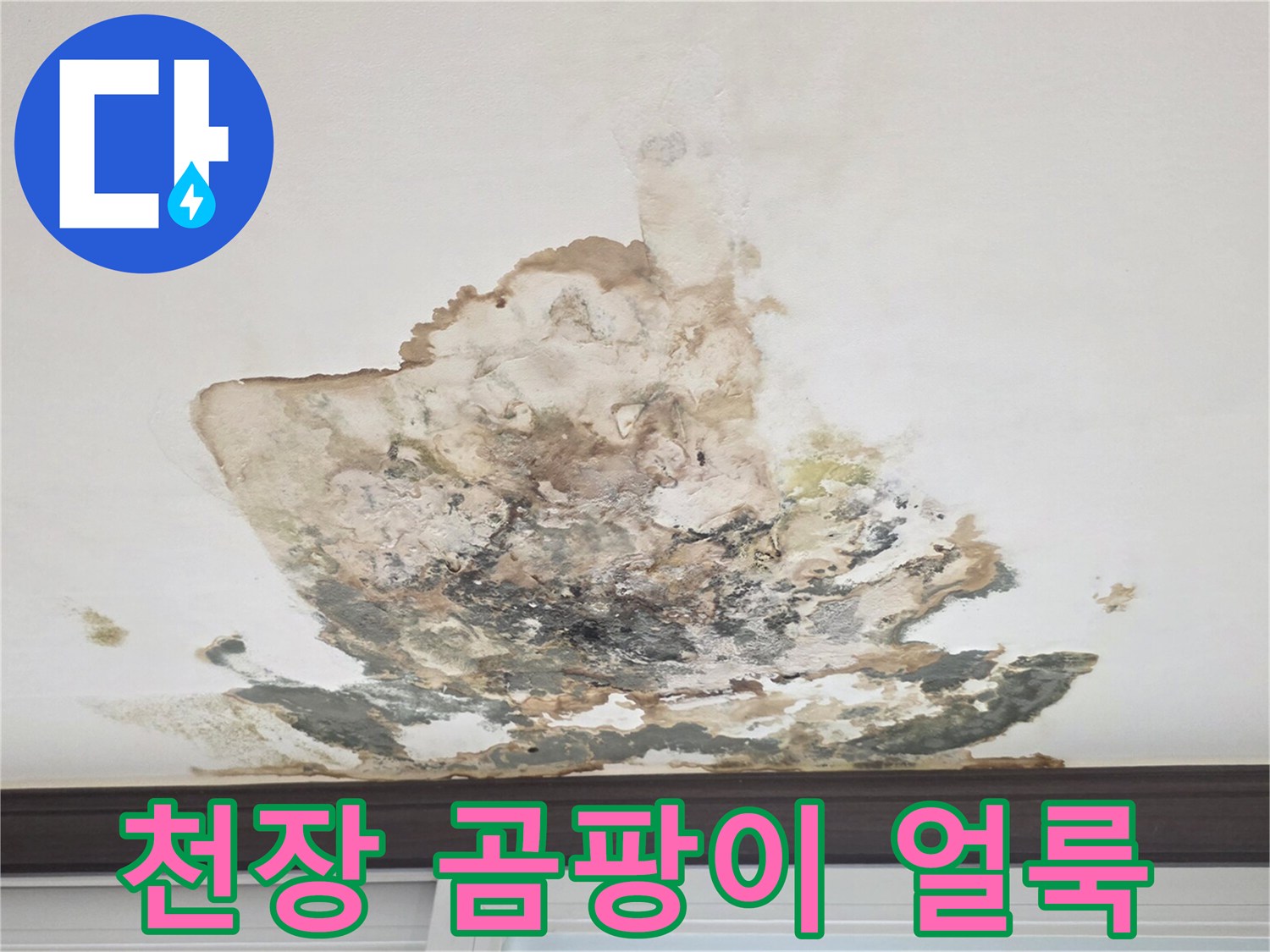 아파트 벽장 천장에 발생한 심각한 곰팡이와 물샘 흔적