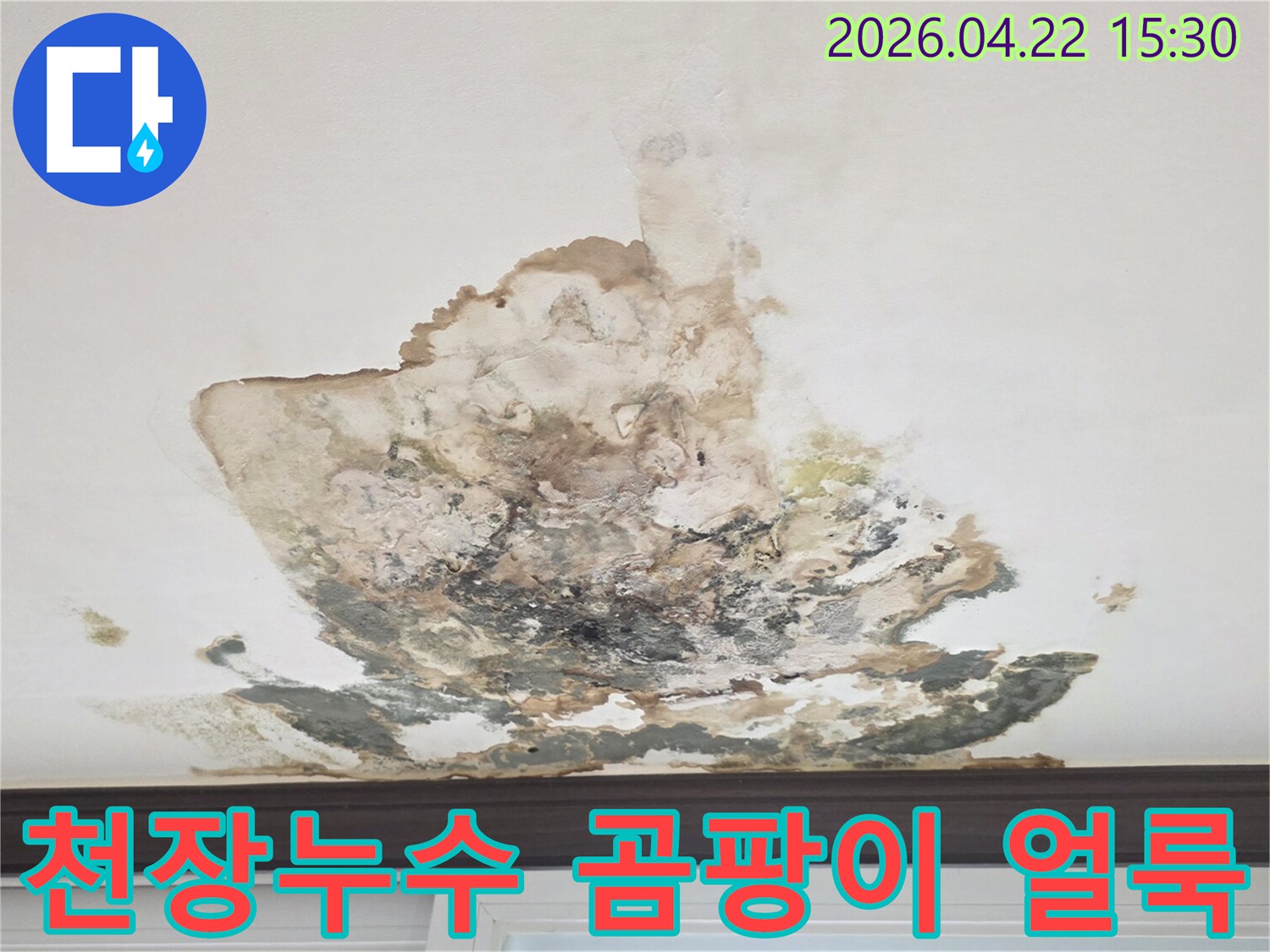 천장-누수로-인해-발생한-심각한-곰팡이-얼룩-사진입니다