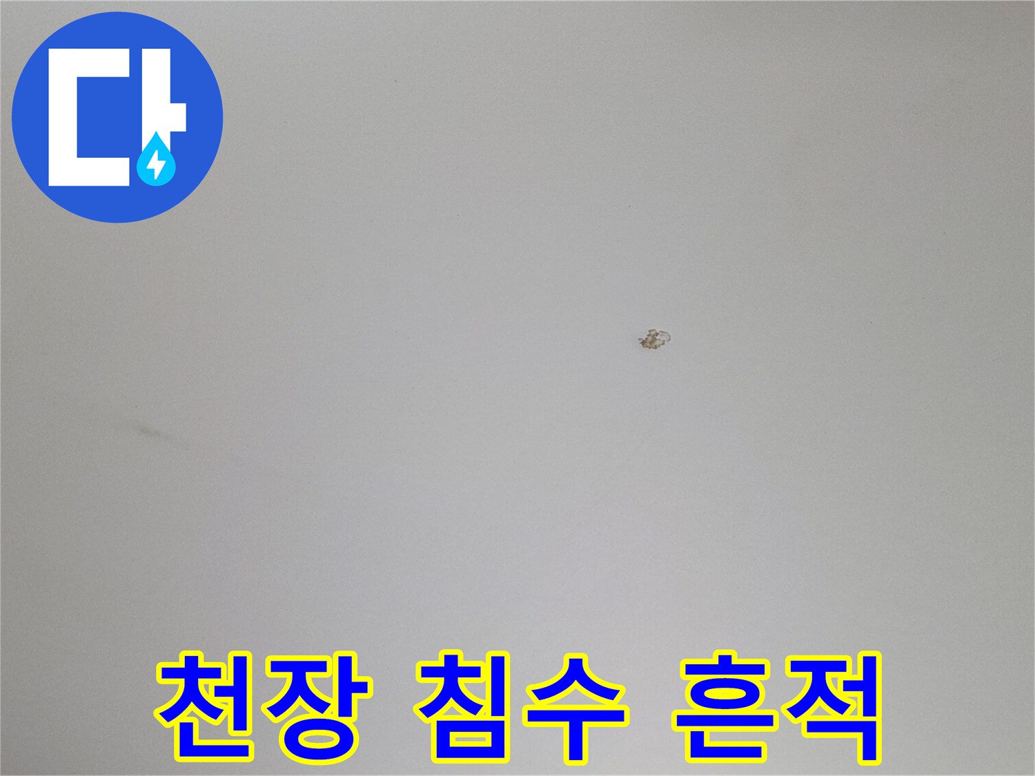 하얀 천장 면에 나타난 아주 작은 갈색 반점