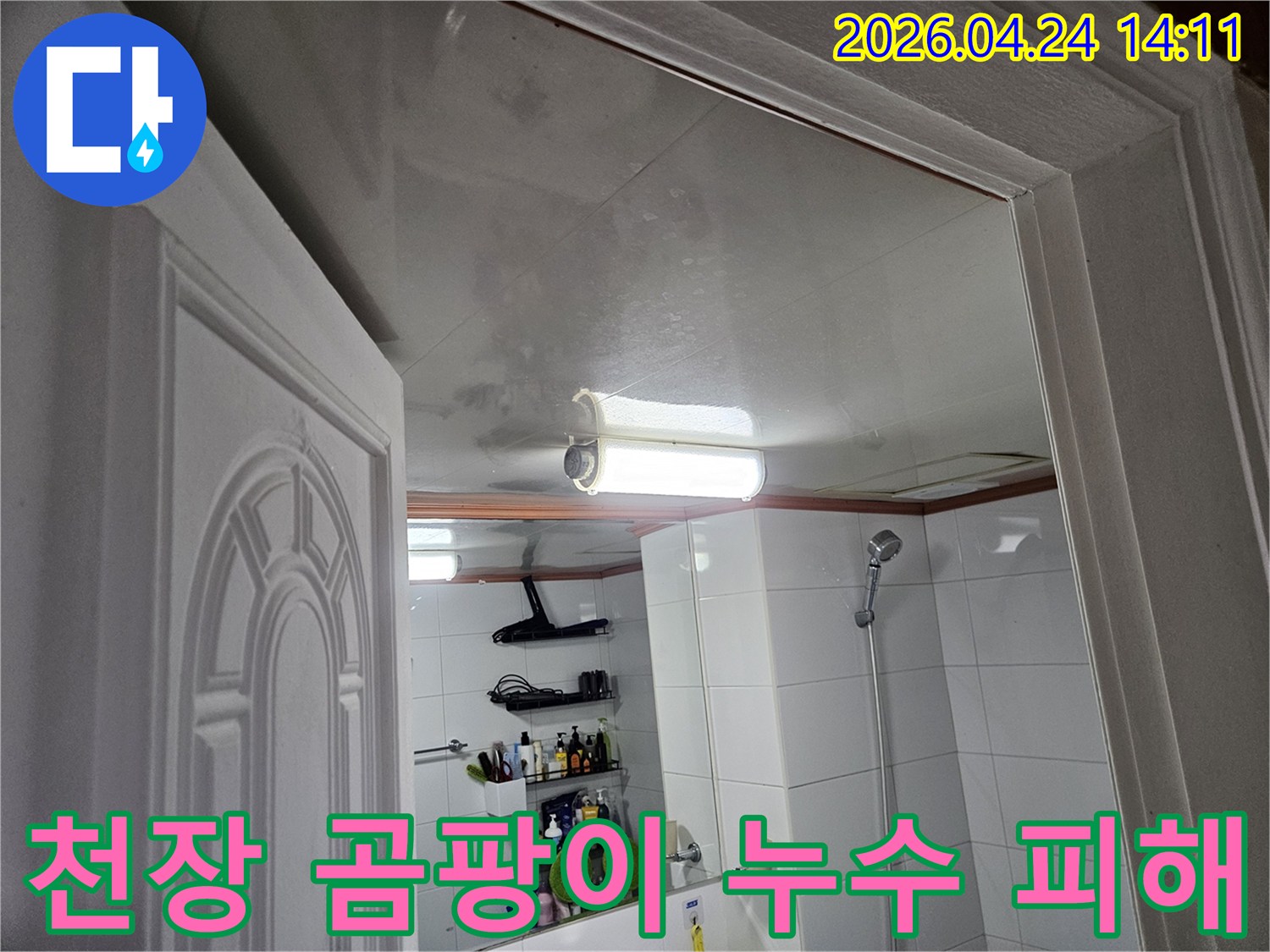 이 이미지는-안양 청호아파트-화장실 천장에-누수로 인해-발생한-심각한 곰팡이와-물자국을-보여줍니다.