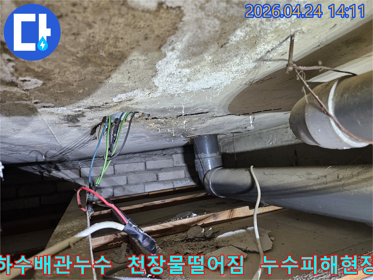 하수배관-주변에서-발생한-누수로-천장에-물방울이-맺힌-모습