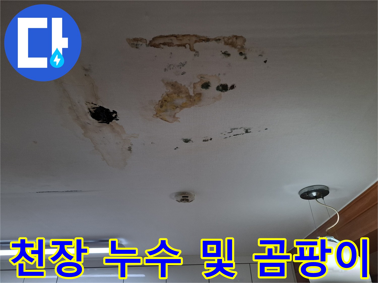 남양주 평내동 - 천장 누수 흔적과 곰팡이 오염 상태