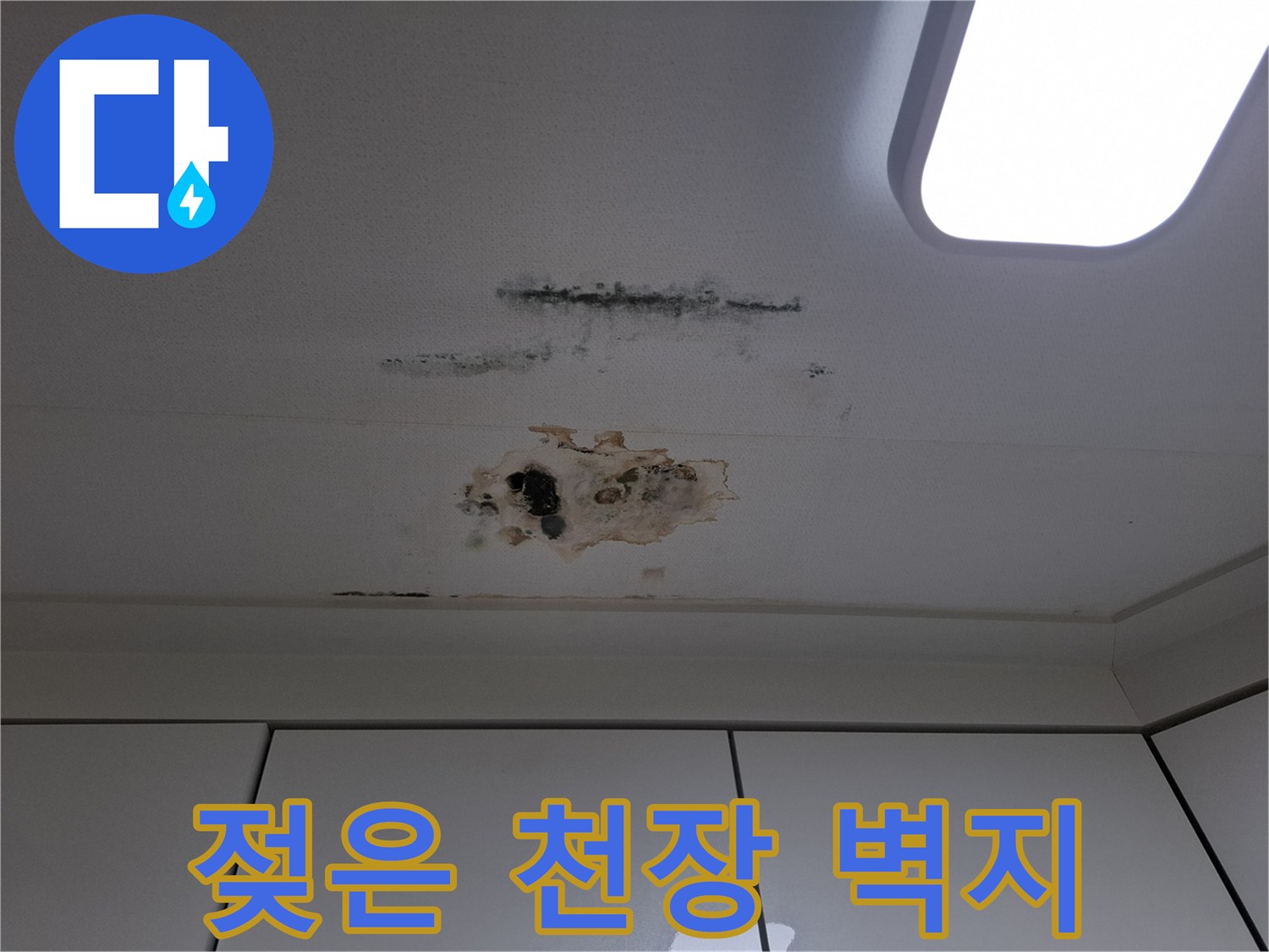물에 젖어 변색된 천장 벽지와 주변의 곰팡이 오염