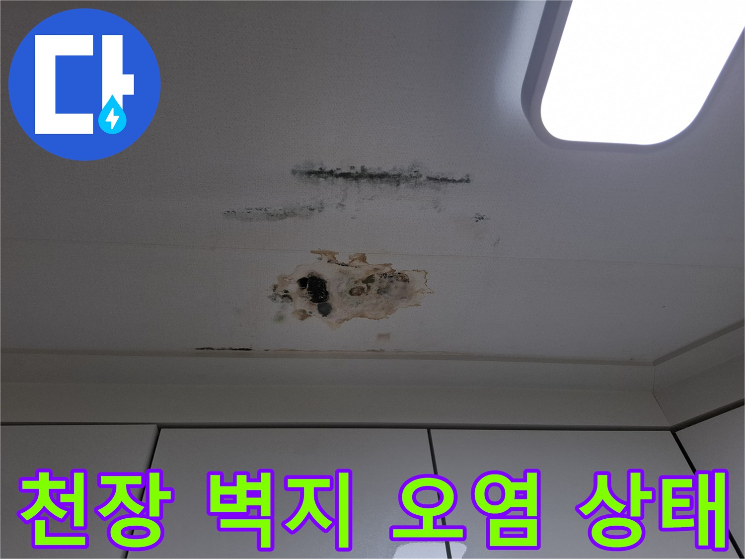 아랫집 천장 마감재-물샘으로 인한 변색과 곰팡이 번식 부위