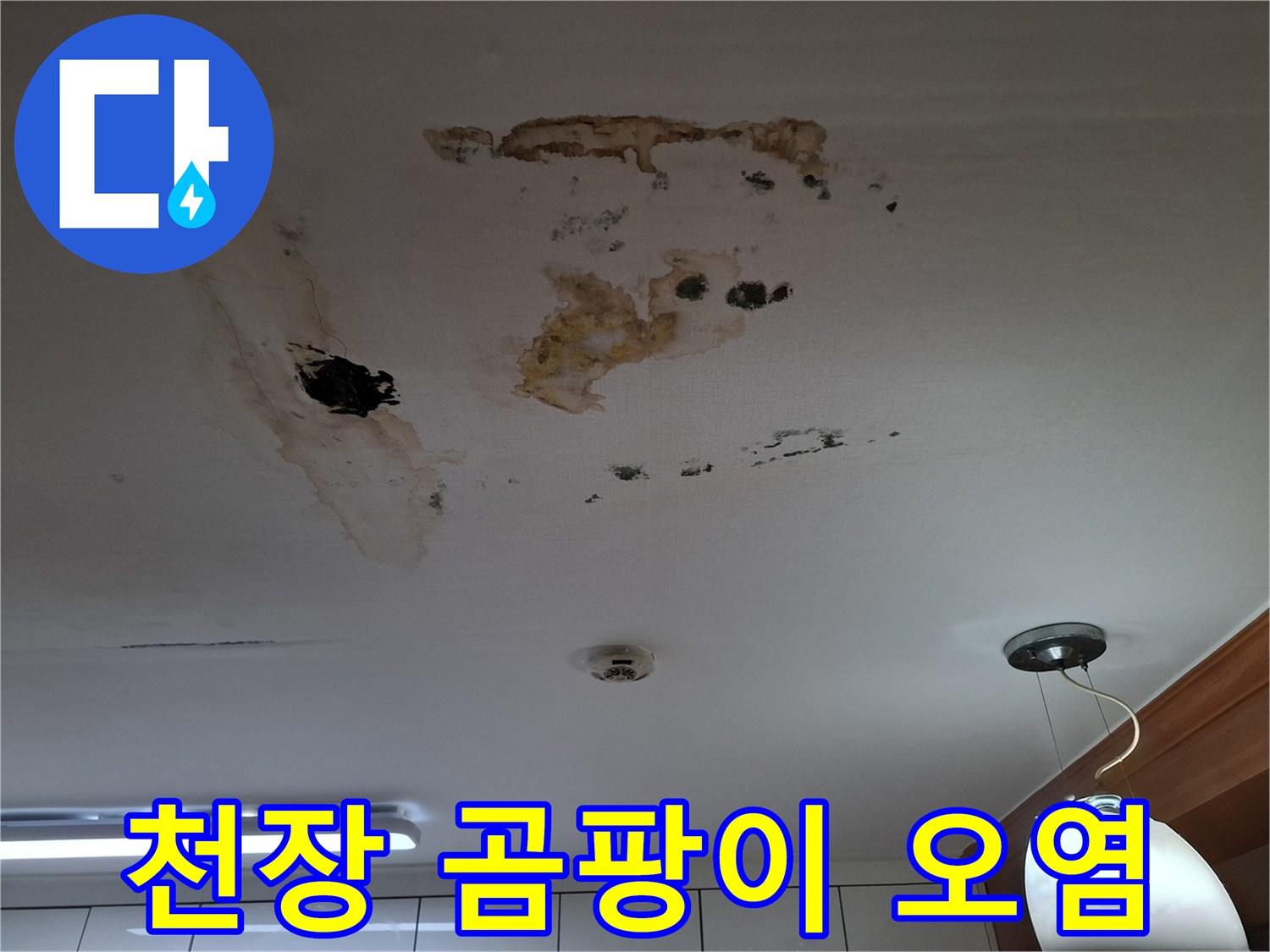 천장 마감재에 넓게 분포된 누수 흔적 및 곰팡이 발생 부위