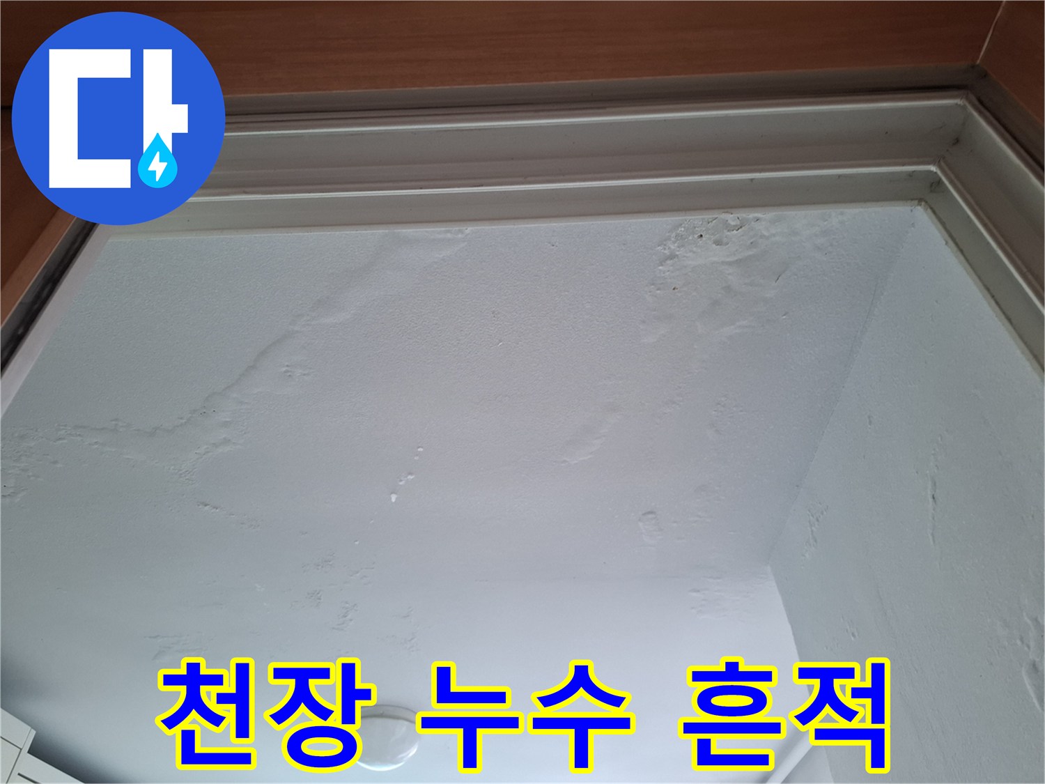 천장 몰딩 주변의 젖은 벽면과 얼룩 부위