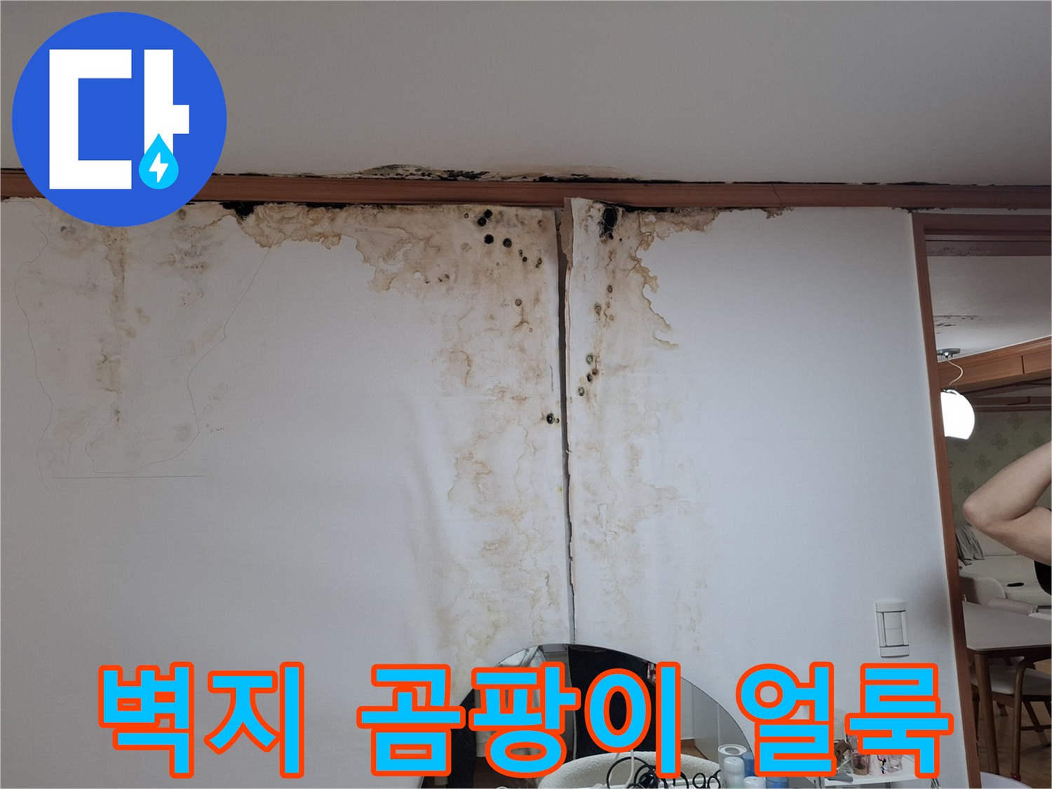 평내동 현장-천장 몰딩 주변의 누수 및 곰팡이 상태
