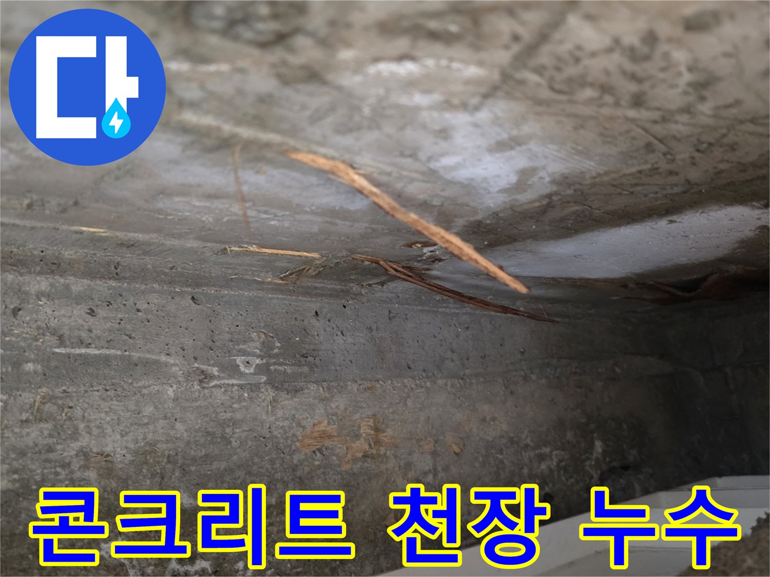 천장 콘크리트의-젖은 부분과-함께-드러난-이물질의-누수 현장