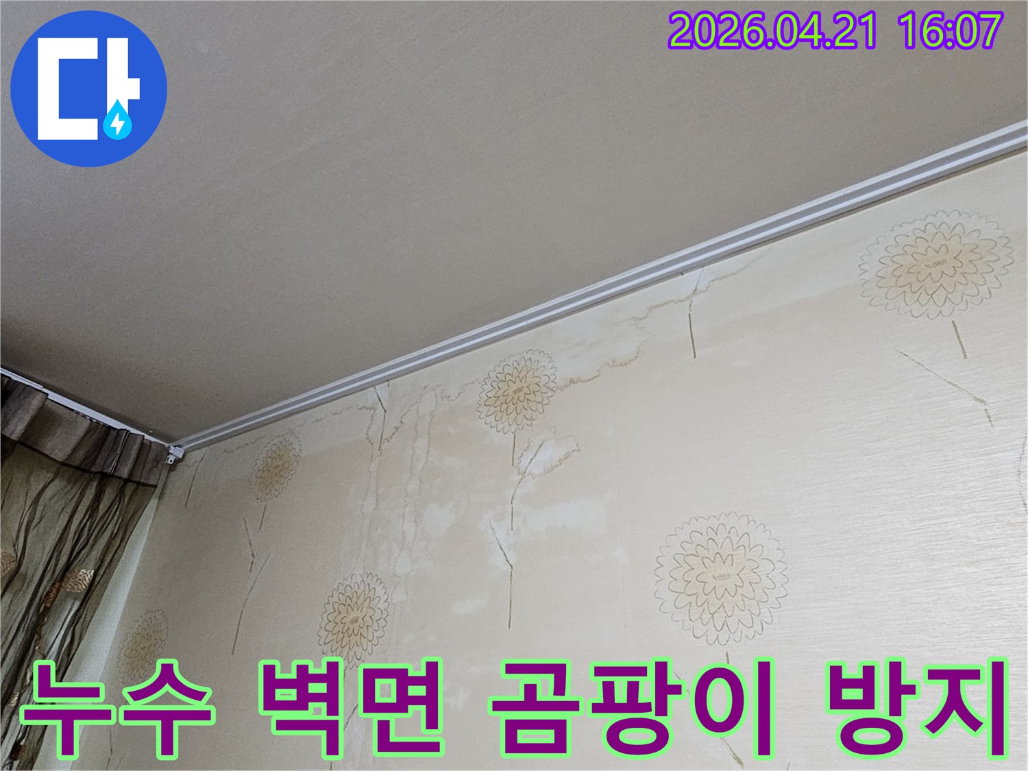 벽지에 스며든 습기는 곰팡이 번식의 최적의 환경을 제공하며-빠른 누수 해결이 곰팡이 예방의 핵심입니다.